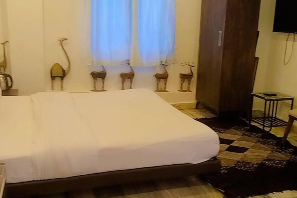Valley Nest For 6-12 Pax Маунт-Абу Екстер'єр фото